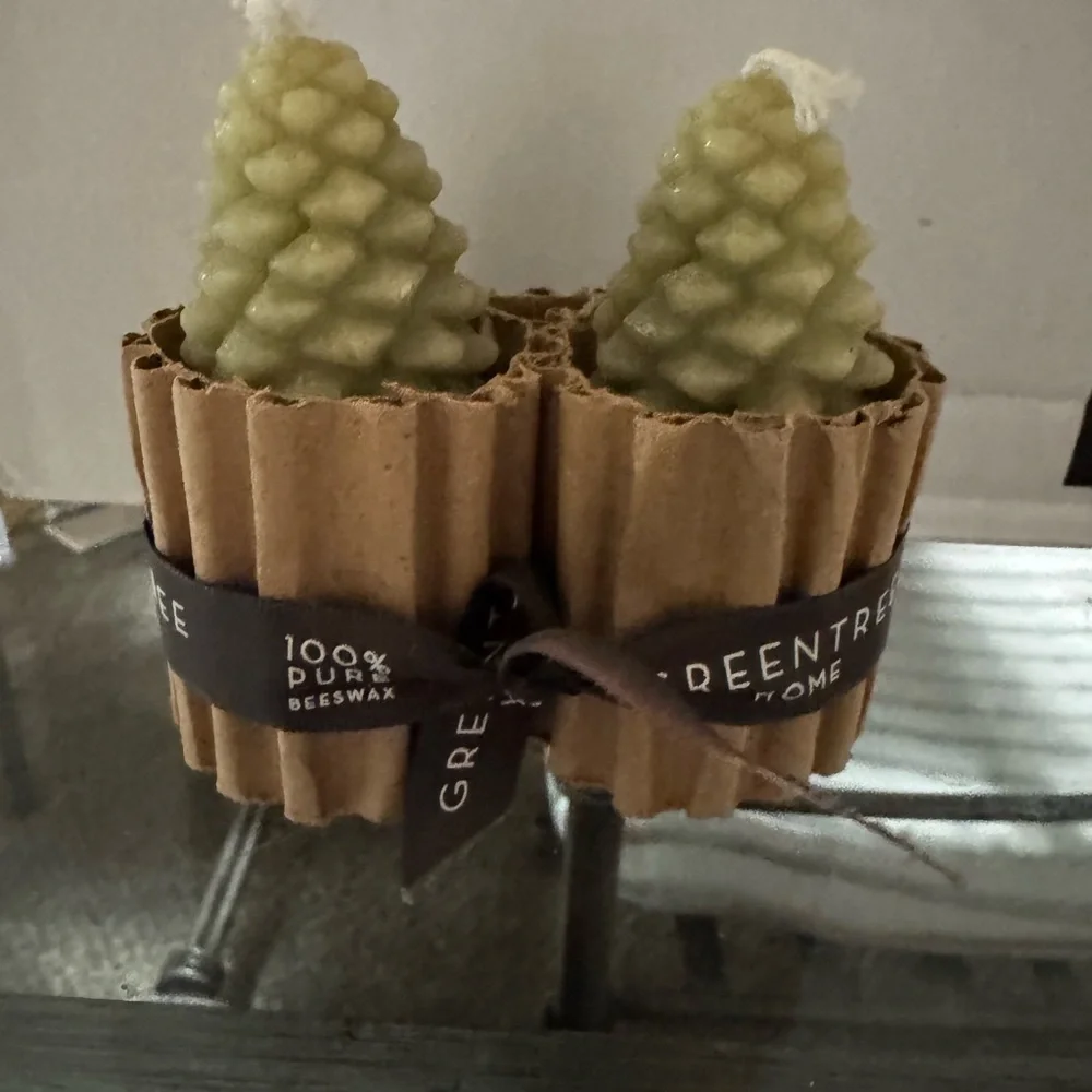 Acorn Home‎ Greentree Light Green Pinecone Beeswax Candle Set of 2 Decor Rustic